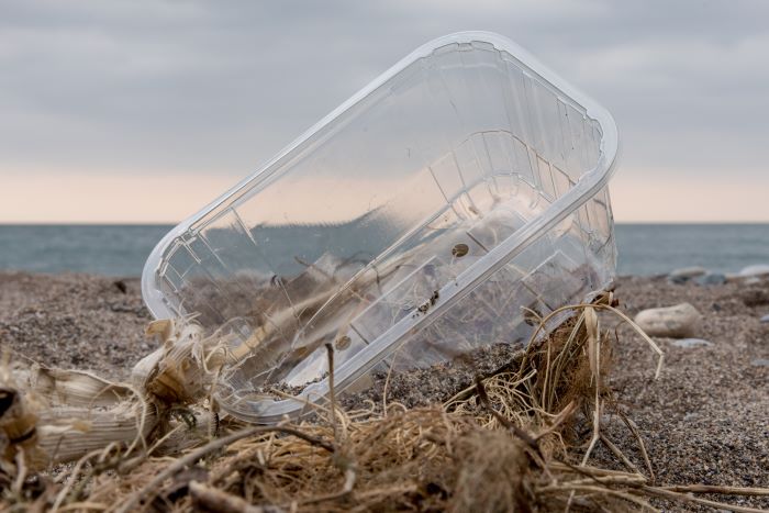 thermoformed plastic container on beach