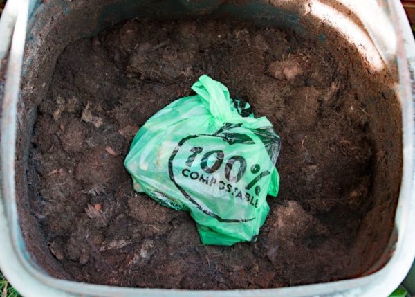 Intact compostable bag in a compost bin
