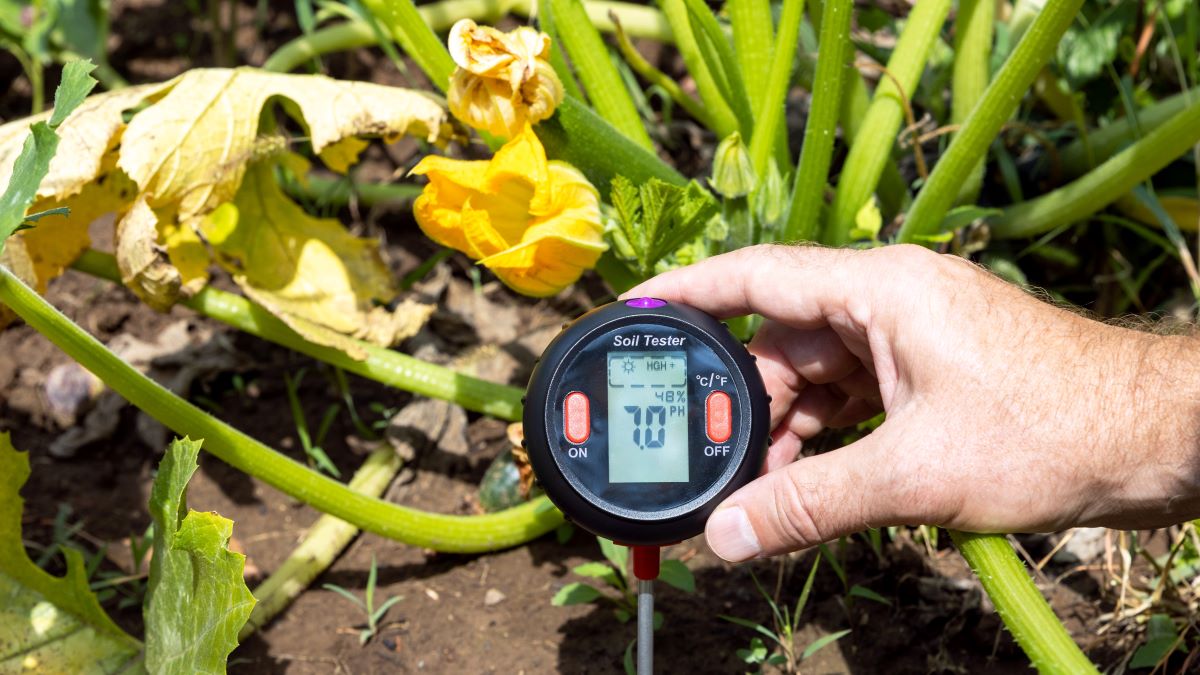 Naturally Change the Soil’s pH for Healthy Veggie Plants