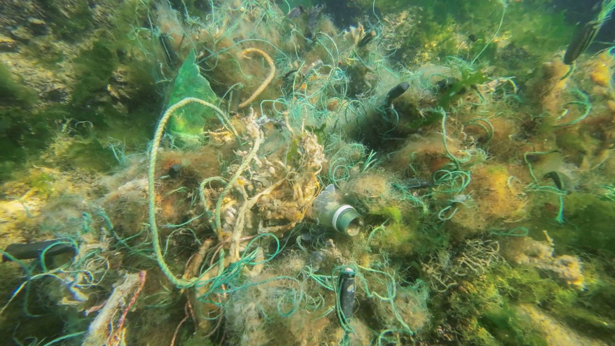 Lost or abandoned fishing gear litters seabed