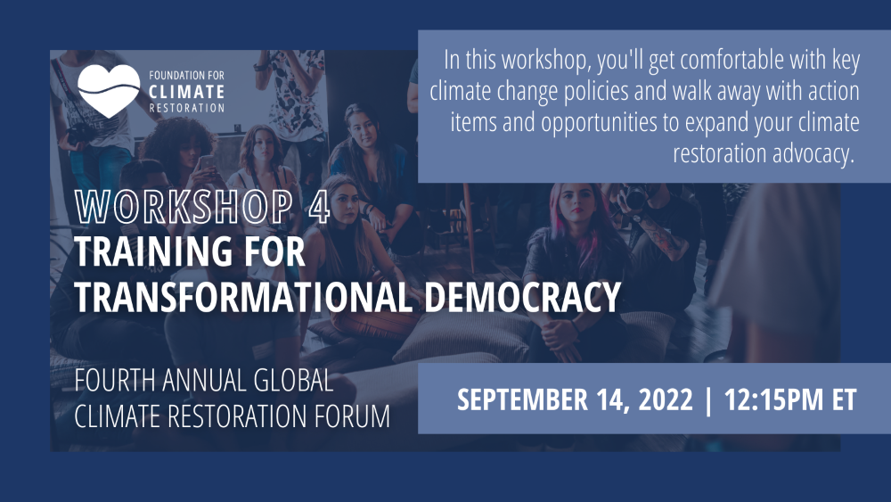 Workshop on Training for Transformational Democracy