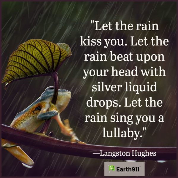Langston Hughes: "Let the rain sing you a lullaby."