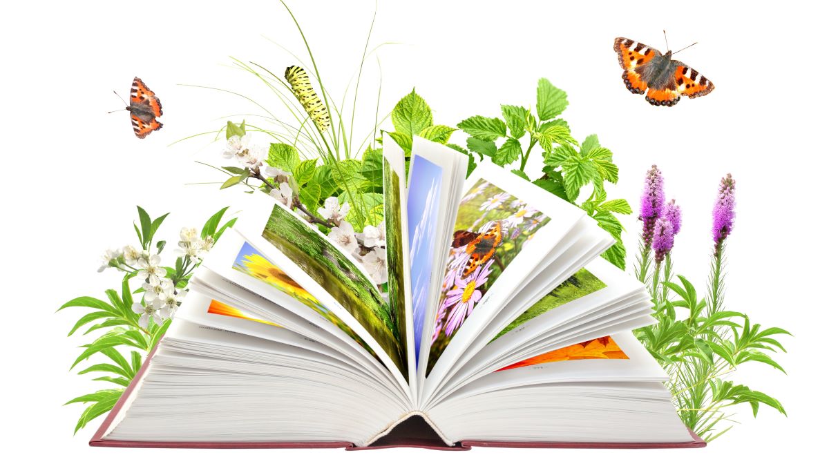 Books To Get You Garden-Completely ready