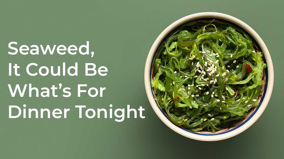 Add Seaweed For A More Sustainable Diet