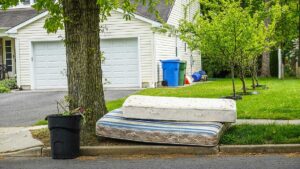 AdobeStock_366367586-cropped