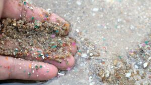 Guest Idea: Home Microplastics Reduction Strategies That Work
